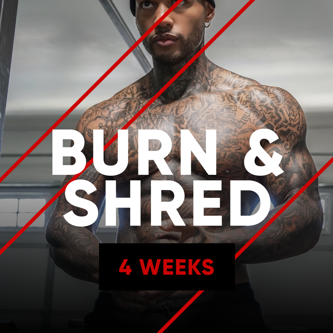Burn and Shred