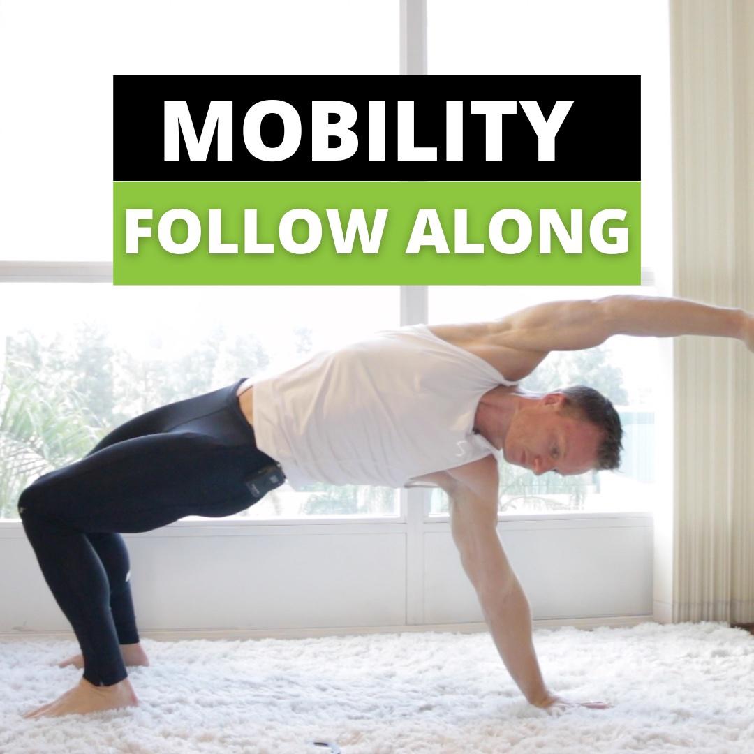 Mobility Flow Videos