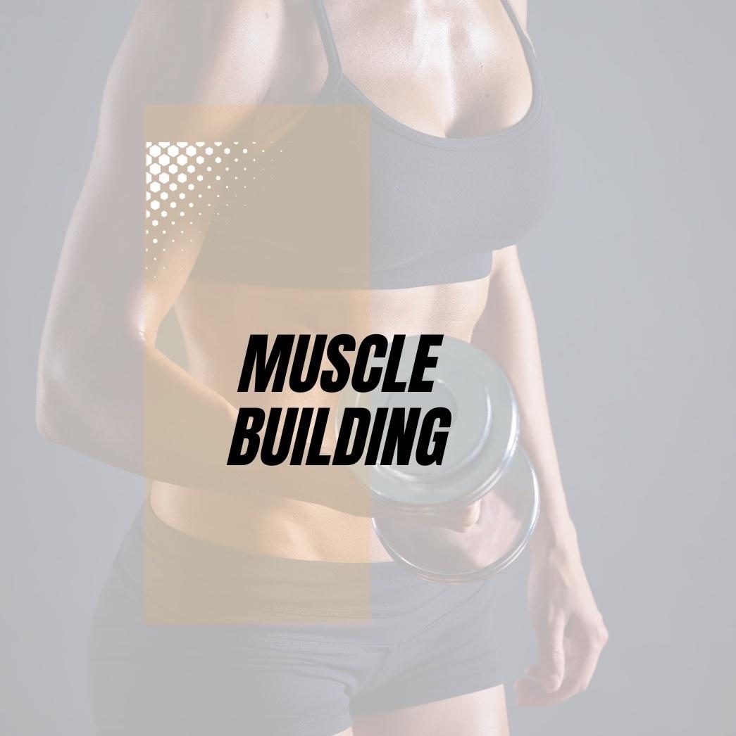 Muscle Building