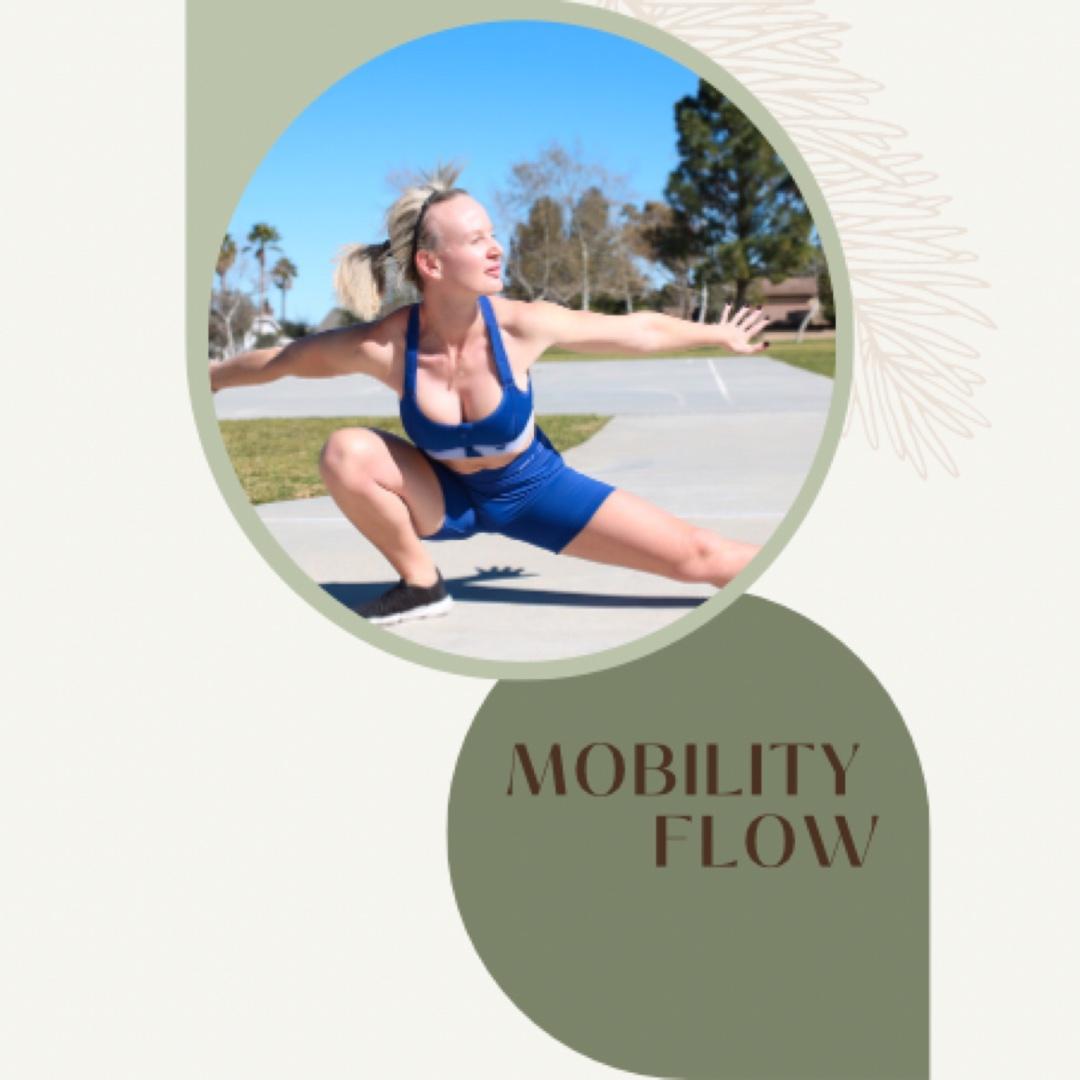 Mobility Flow