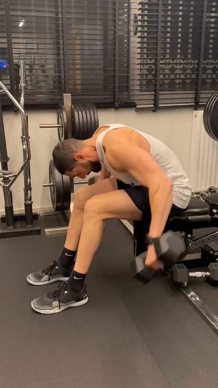 W1/D2 - Chest - Rear Delts - Biceps - Abs