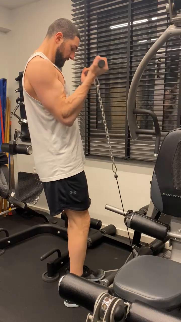 W1/D2 - Chest - Rear Delts - Biceps - Abs