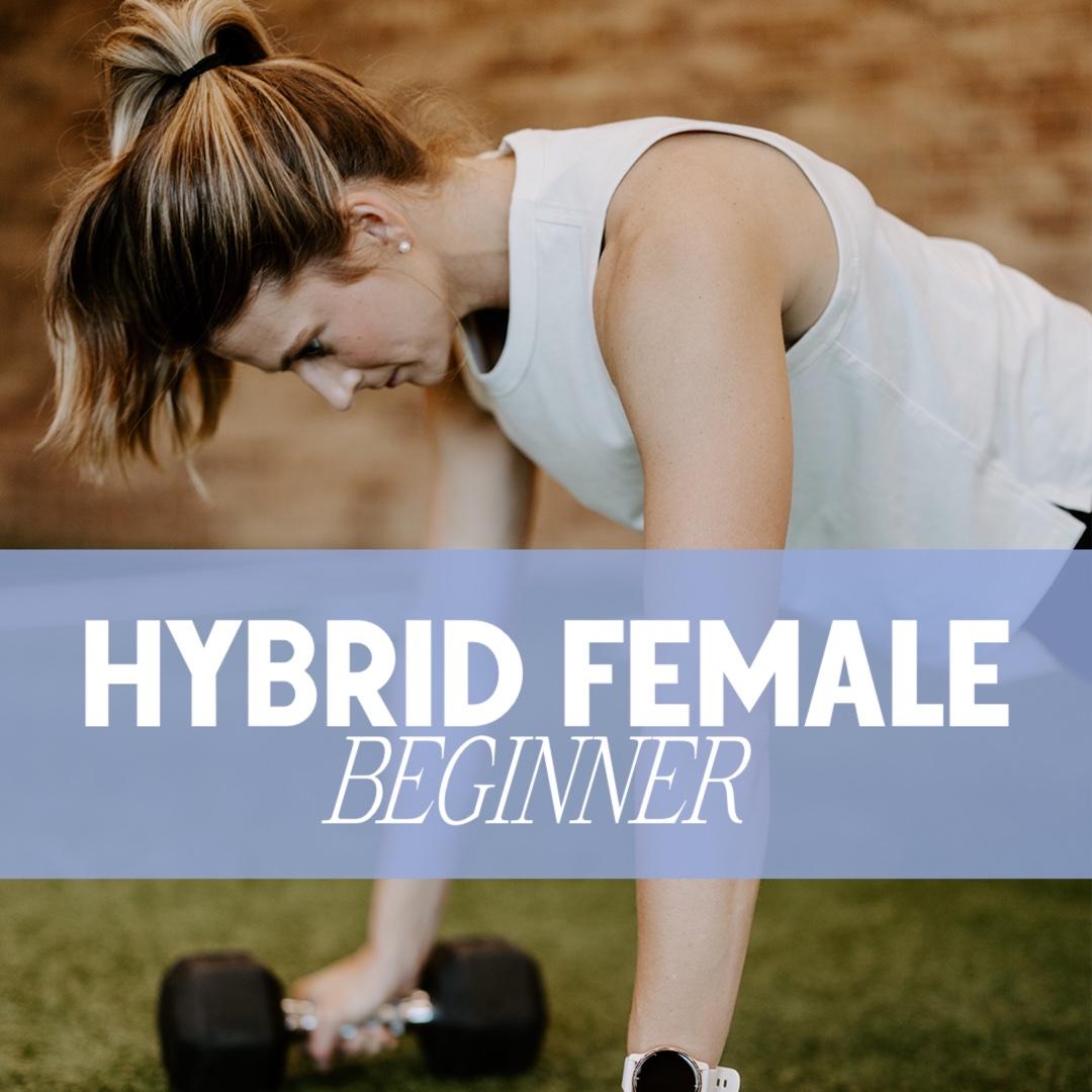 Hybrid Female BEGINNER