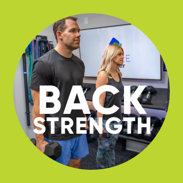 Back Exercises