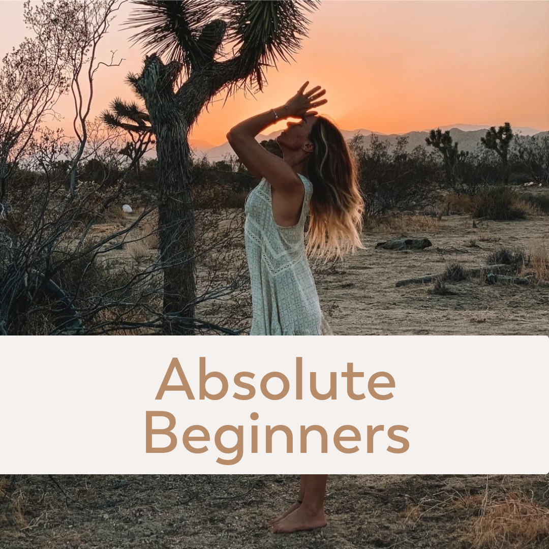 Absolute Beginner