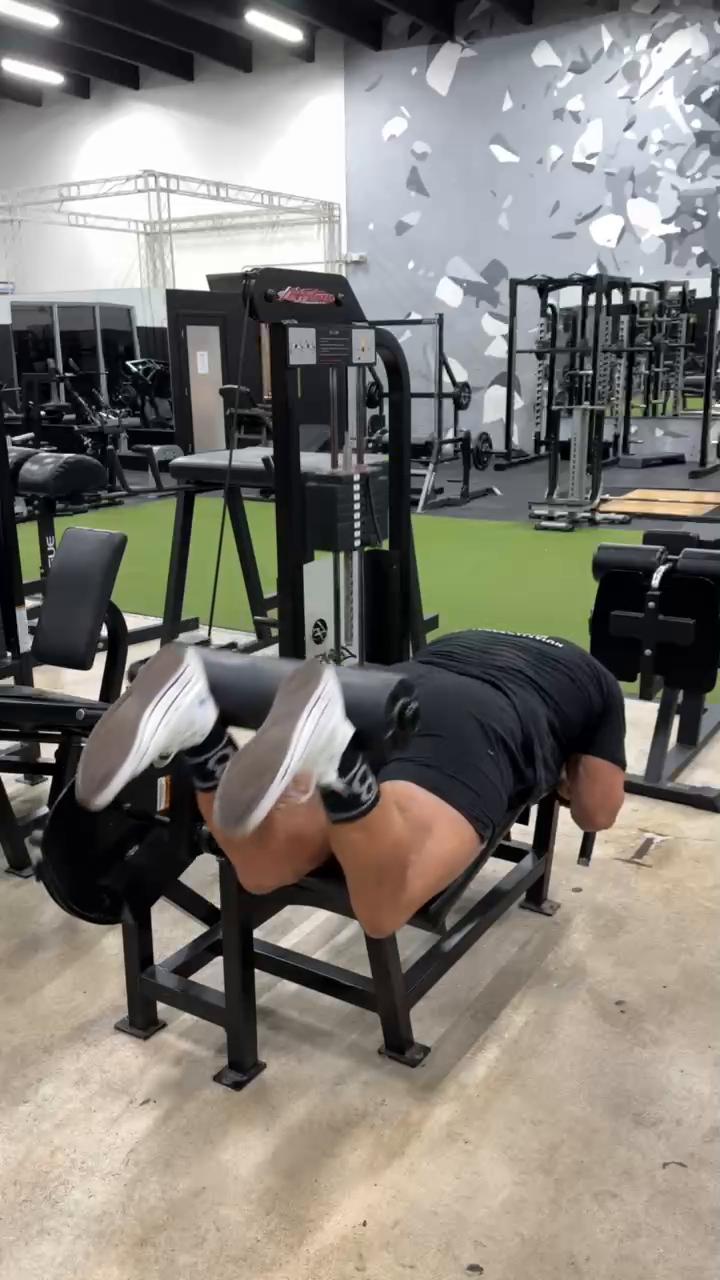Quads / Hamstrings
