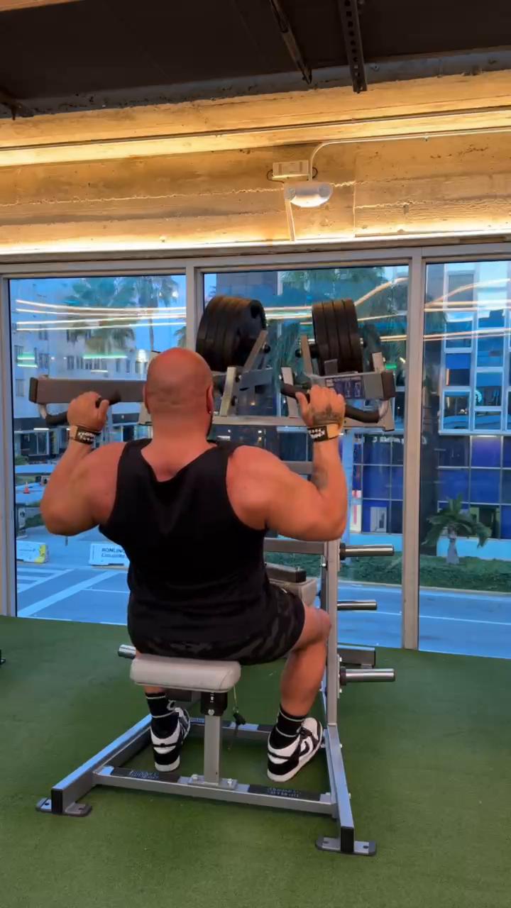 Back / Abs