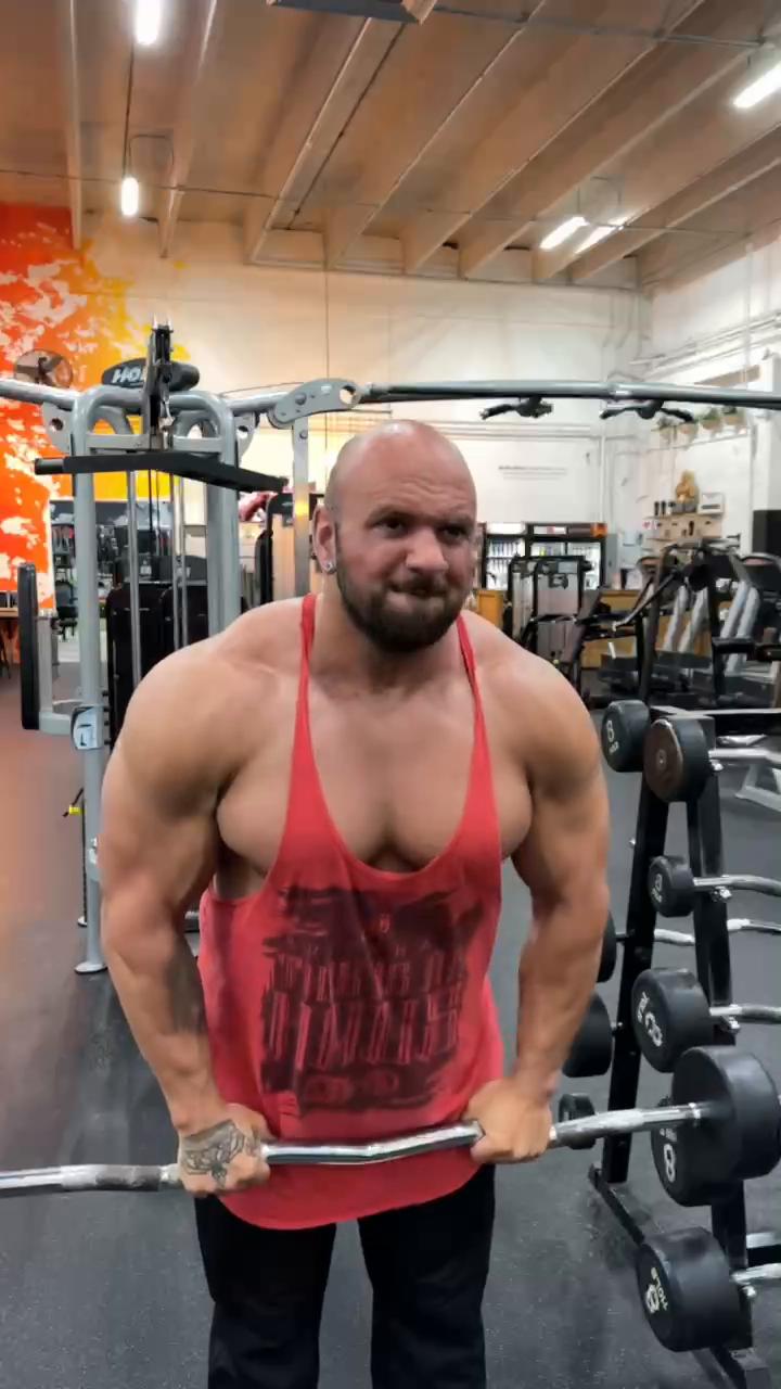 Shoulders