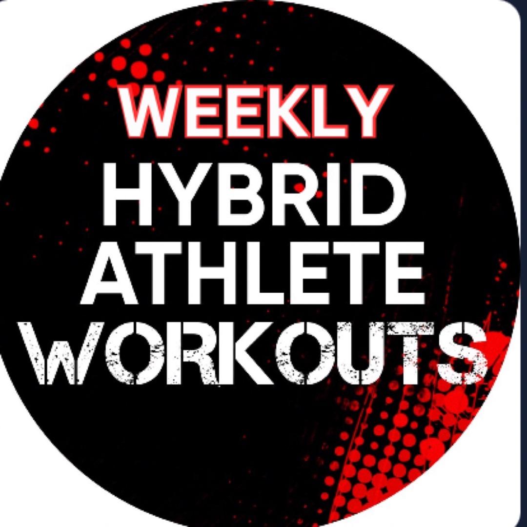 DAILY HYBRID WORK