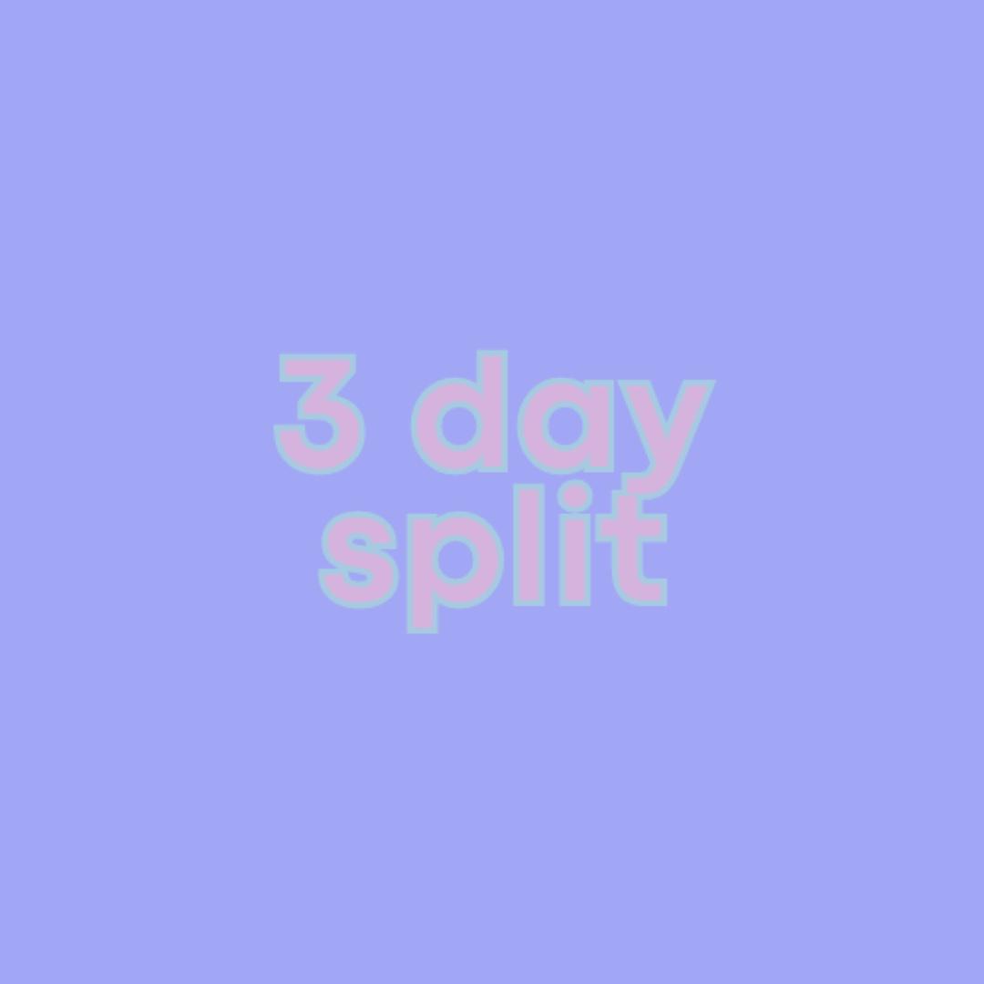 3 Day Gym Split