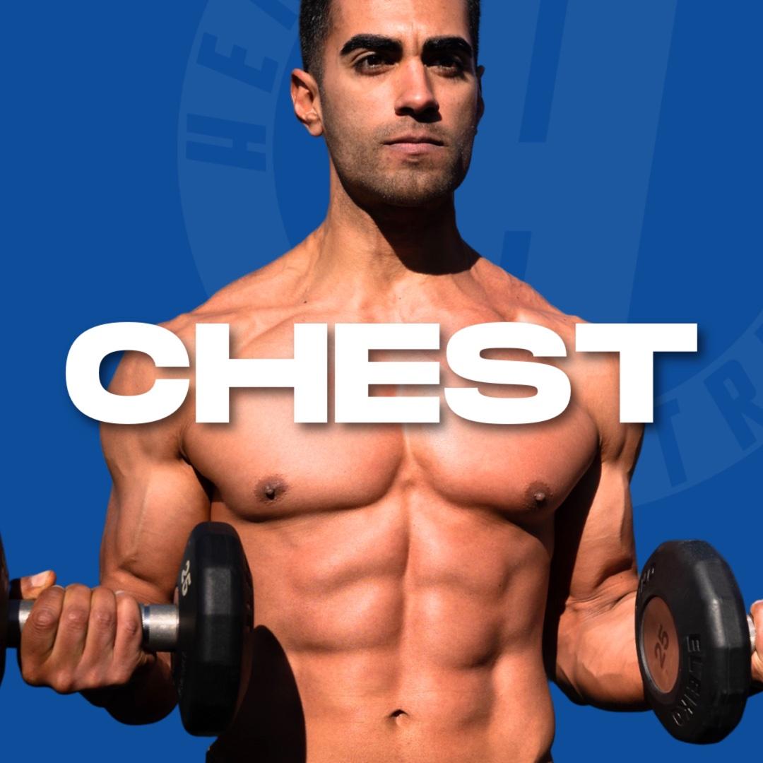Chest