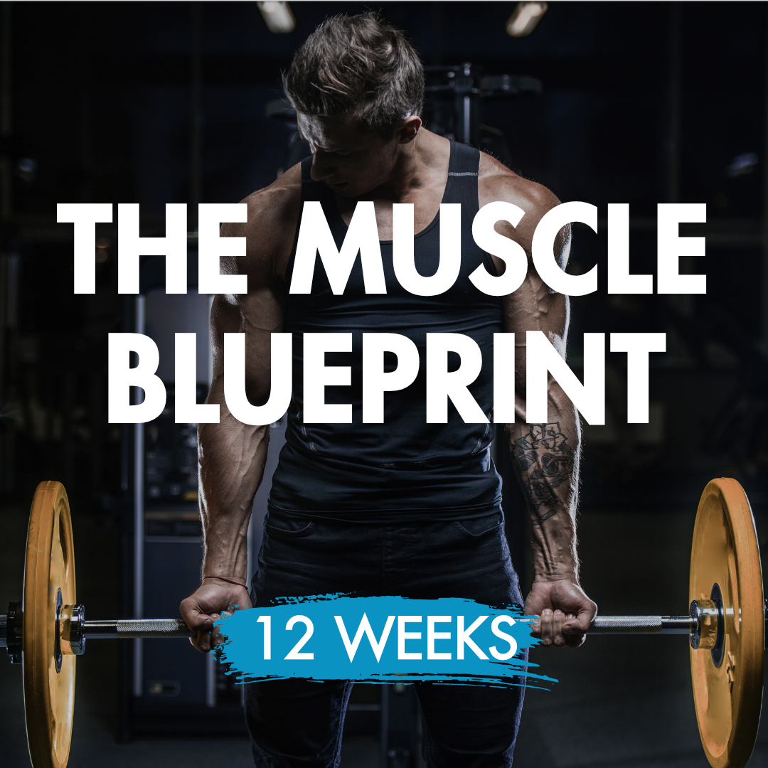 Maximum Muscle Gain