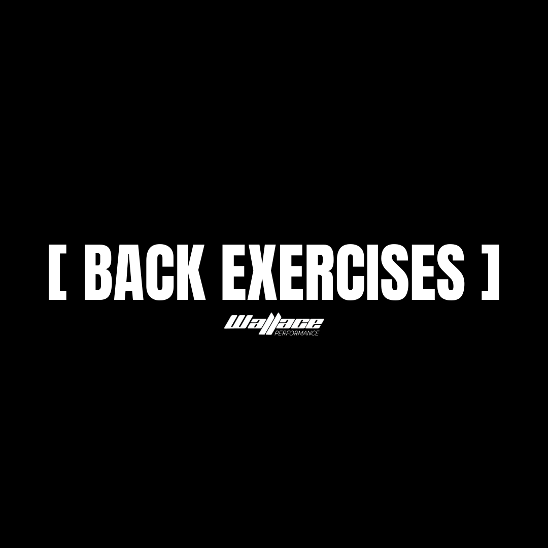 [ Back ]