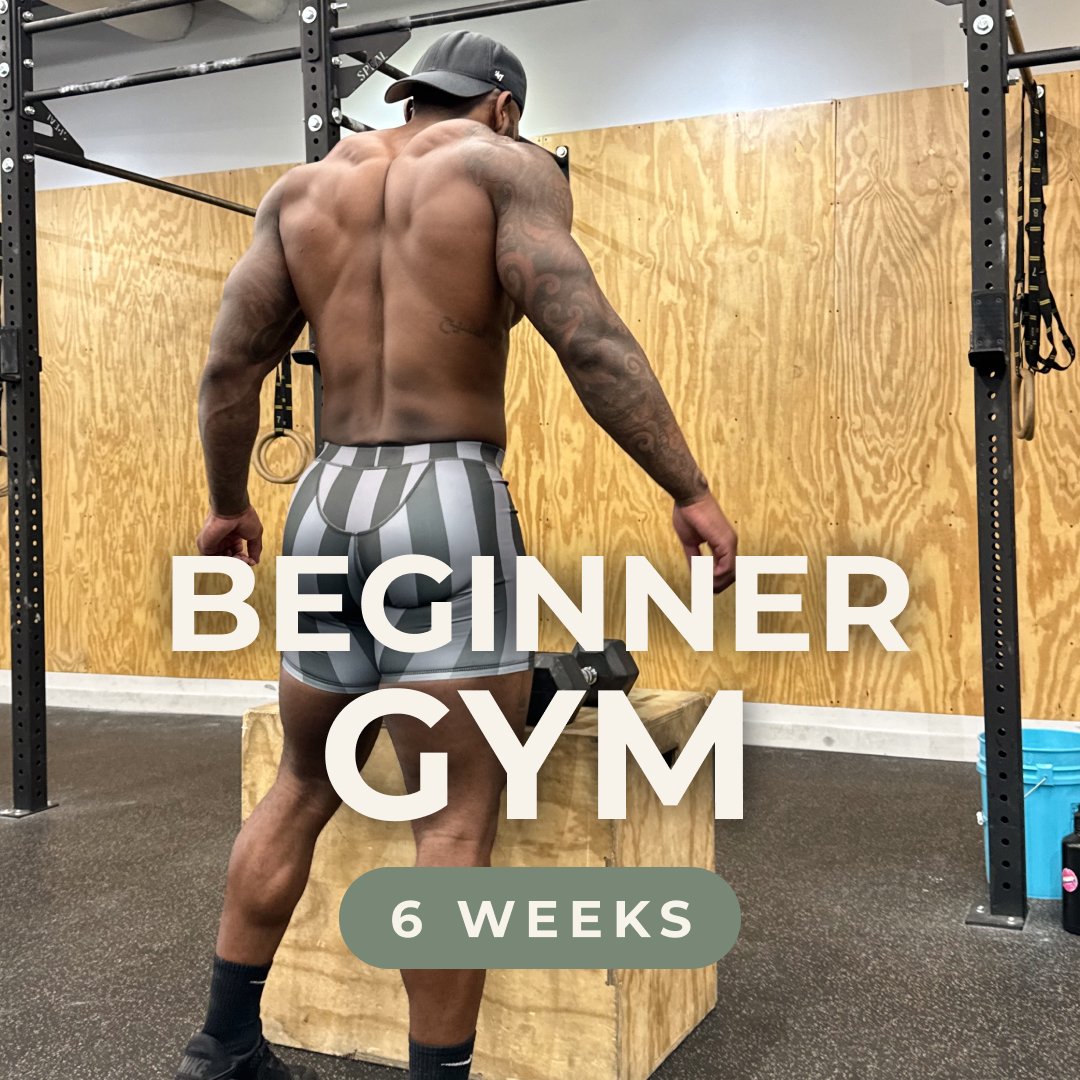 Beginner GYM by Kevin Carnell