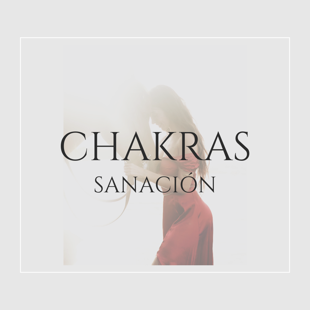 ⚕️ Yin | chakras