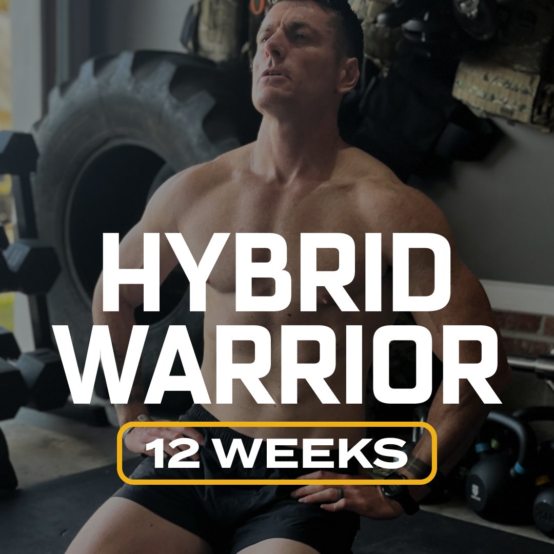Hybrid Warrior