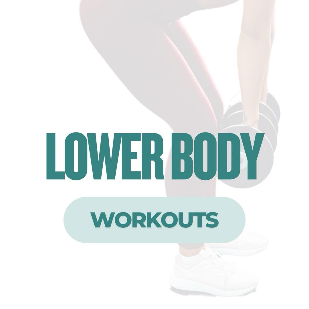 Lower Body Workouts