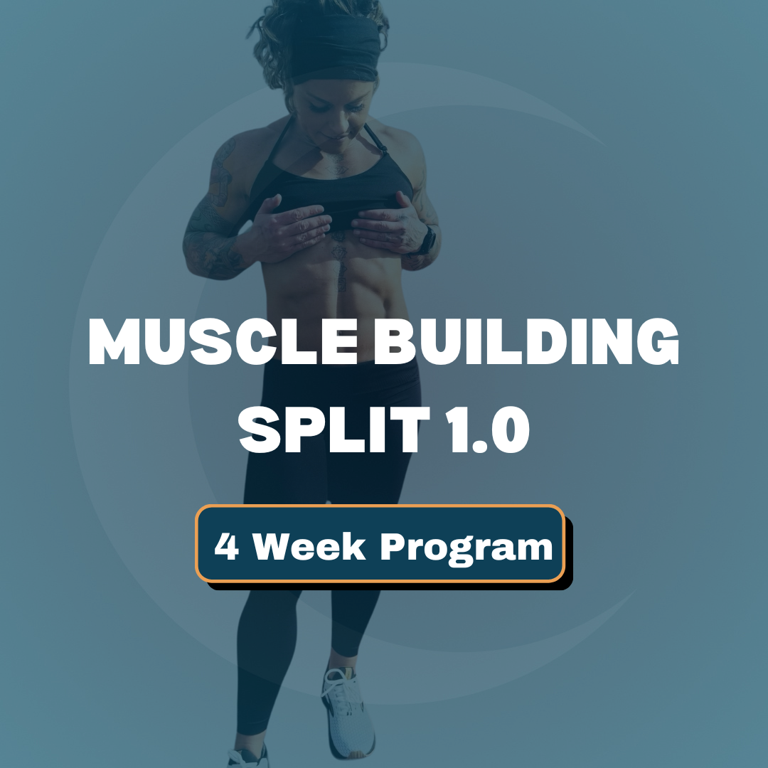 Muscle Building Split