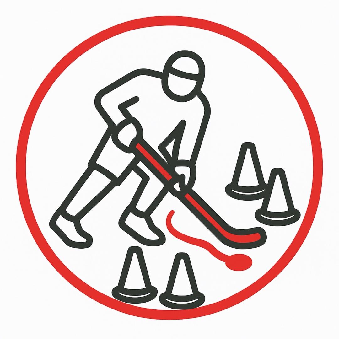 Off Ice Stick Handling