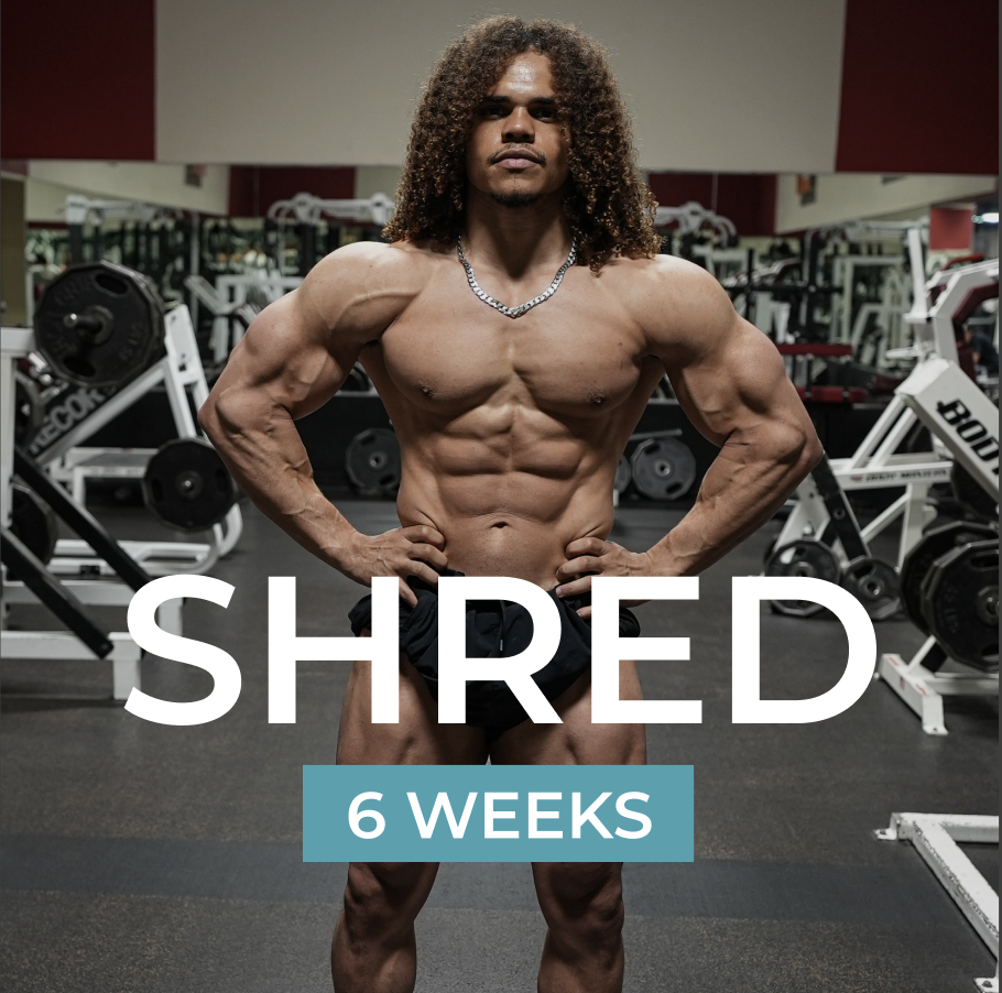 6 Week Shred