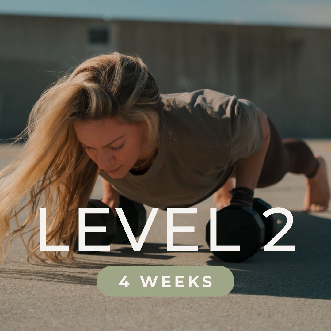 Level 2 - Dumbbell Program