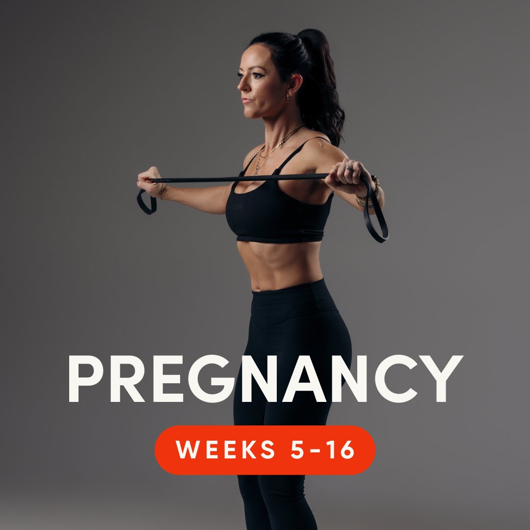 Pregnancy W5-16