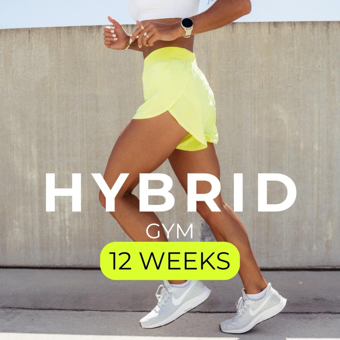 HYBRID