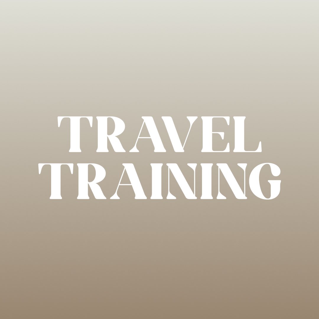 Travel Training