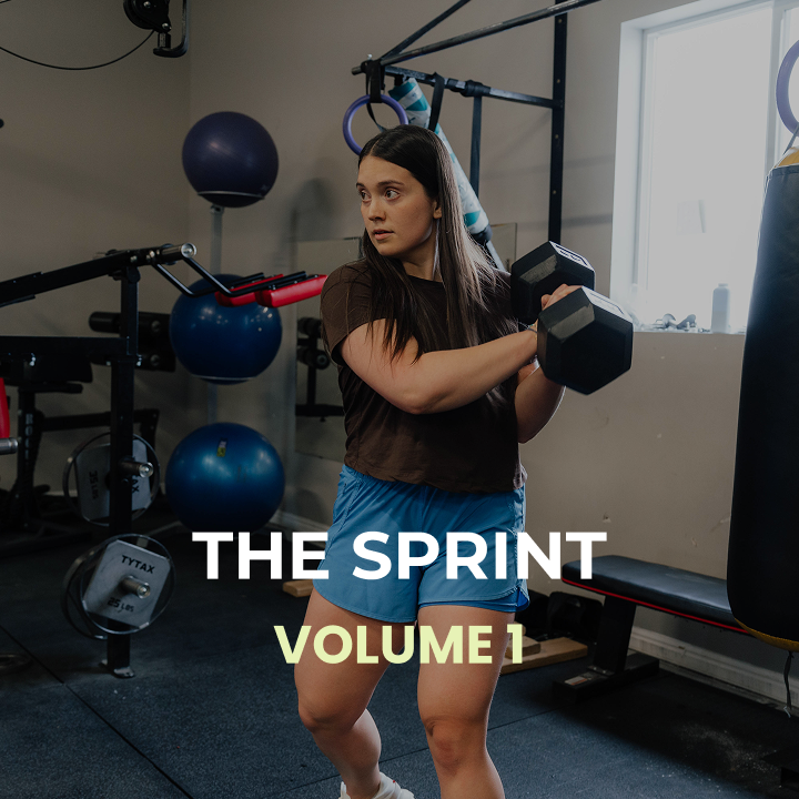 The Sprint Vol. 1
