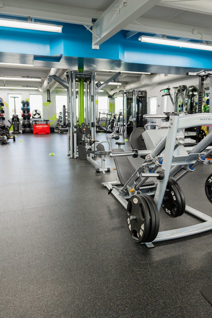 Gym Workouts