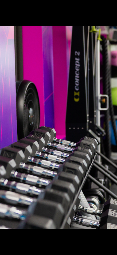 Dumbbell Workouts
