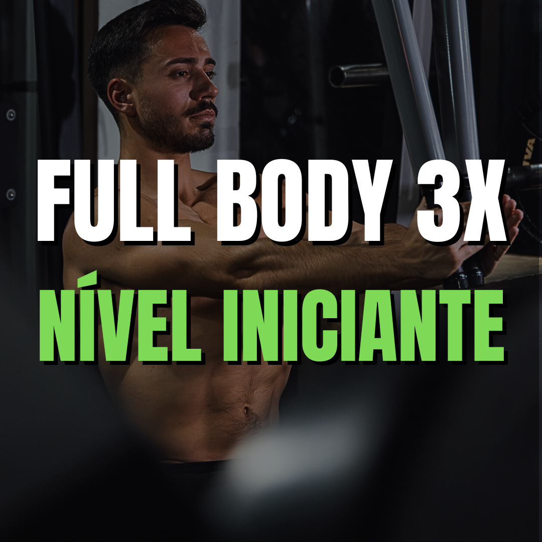 FULL BODY INICIANTE 3x/semana
