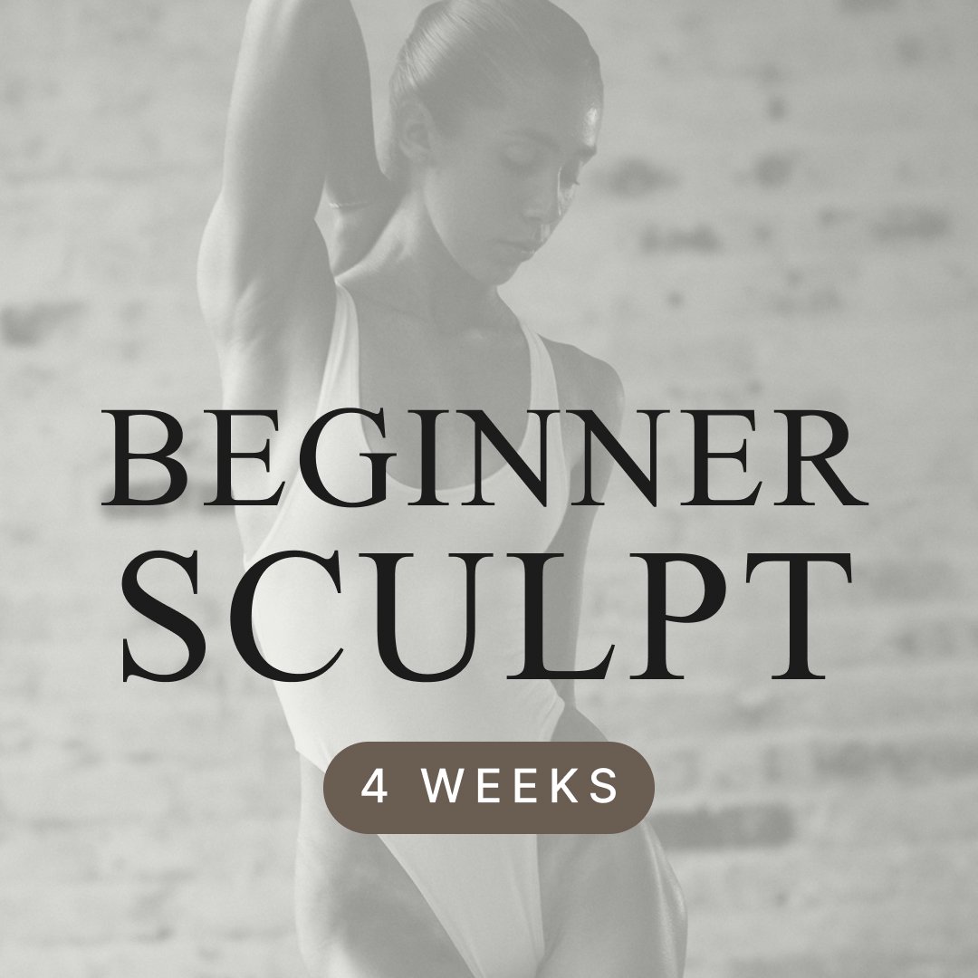 Beginner Sculpt Program
