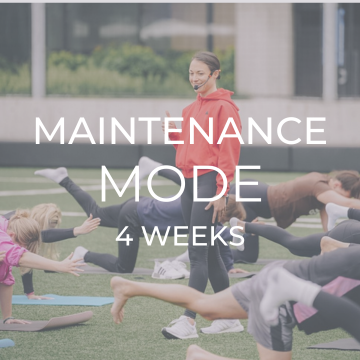 Maintenance Mode (4 weeks)