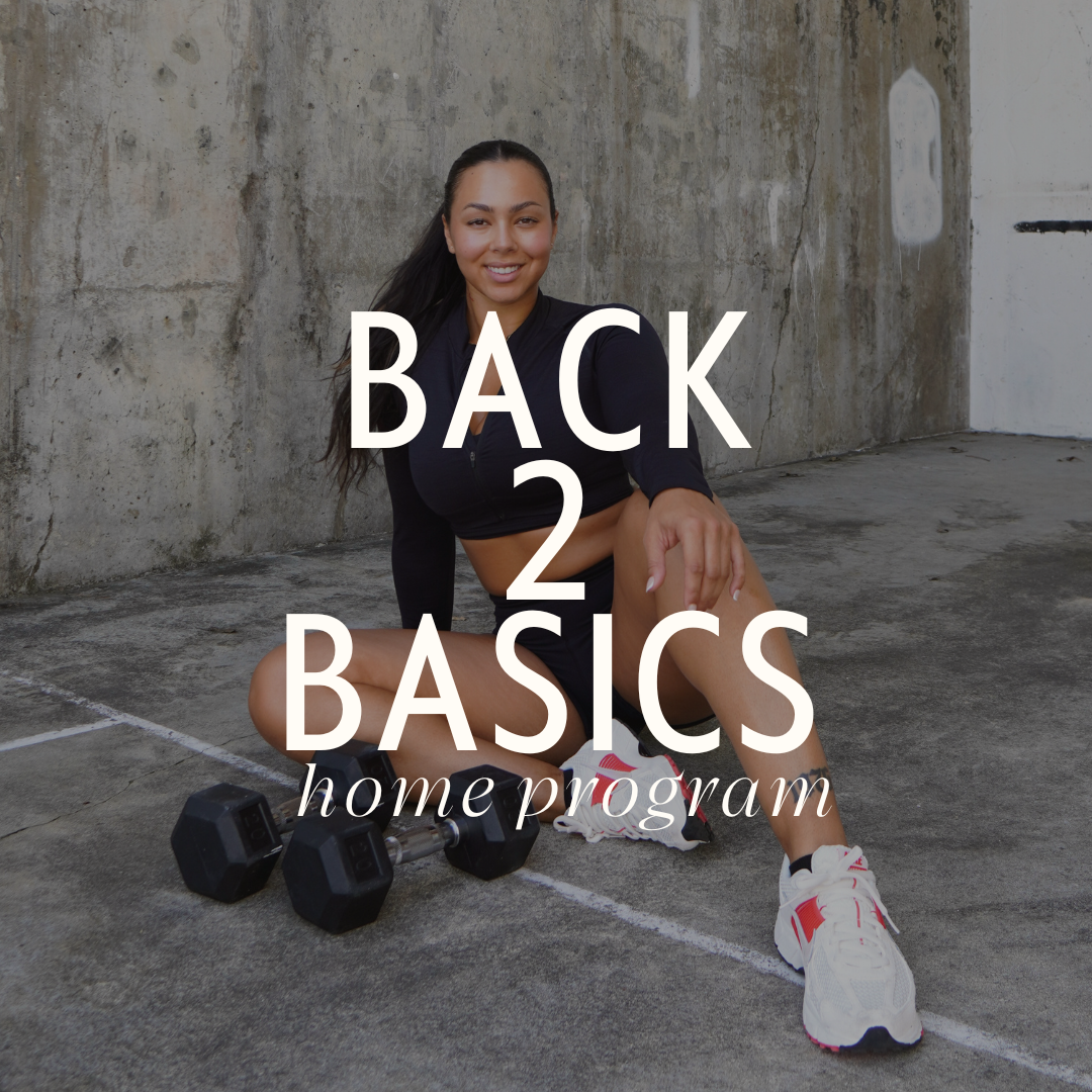 Back 2 Basics (home)