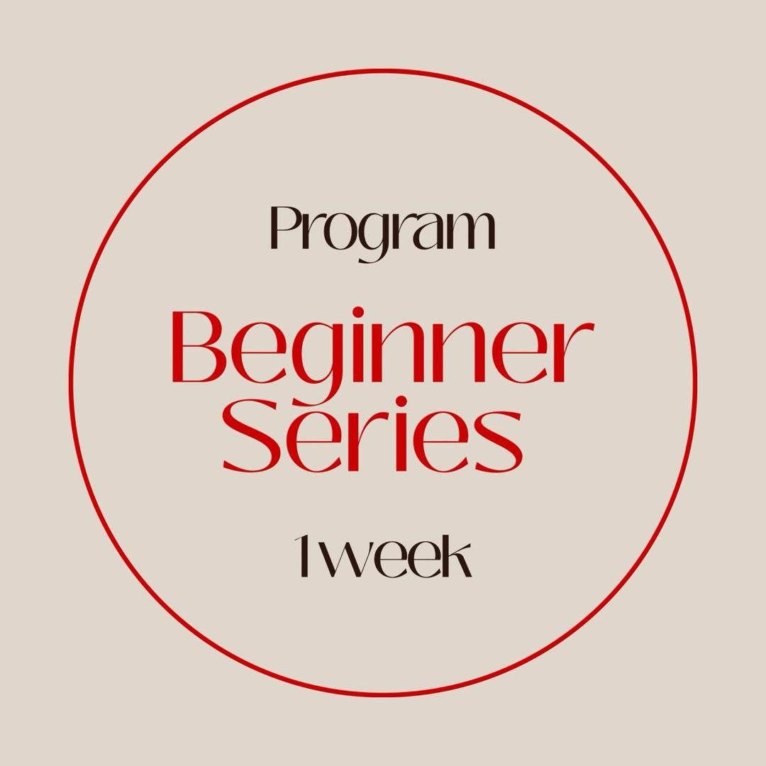 Beginner Series