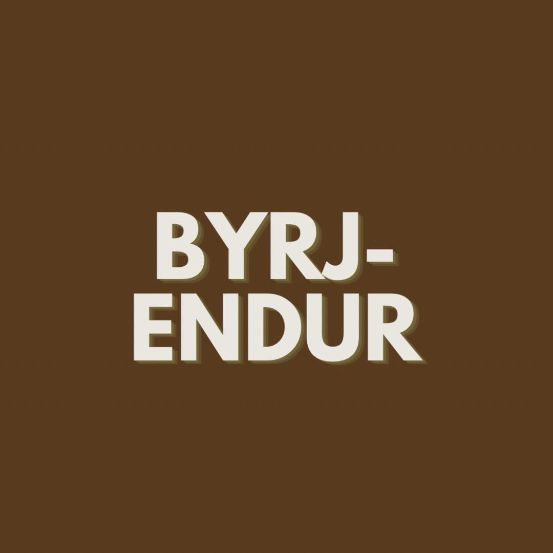 Byrjendur