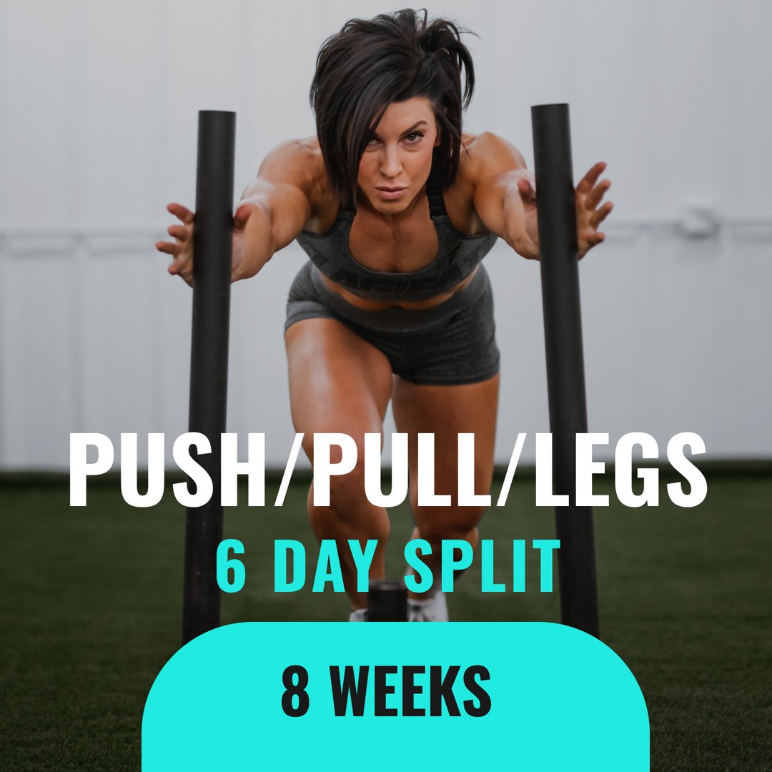 Push/Pull/Legs - 6 Day Split