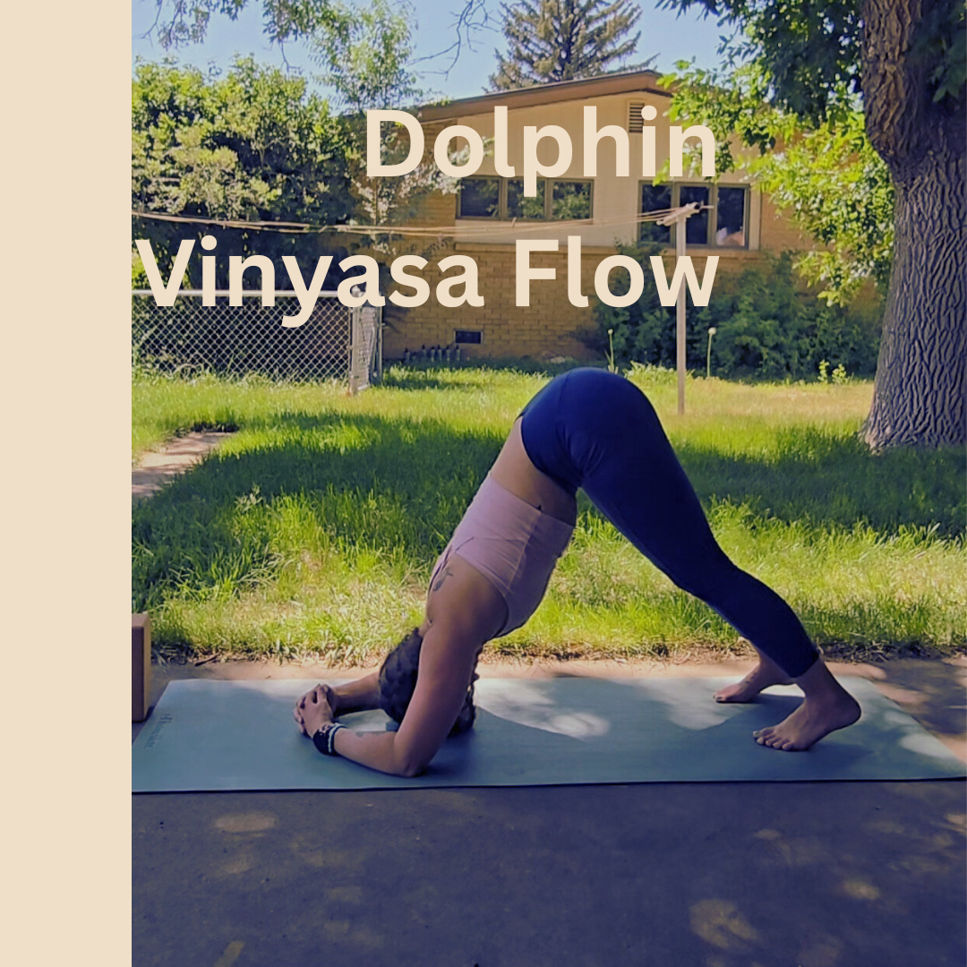 Vinyasa Flow- Dolphin