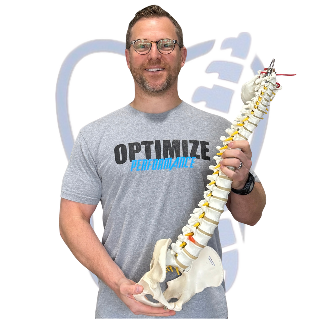 John Besharse PT, DPT, Cert. DN, CSCS,NKT, CEAS