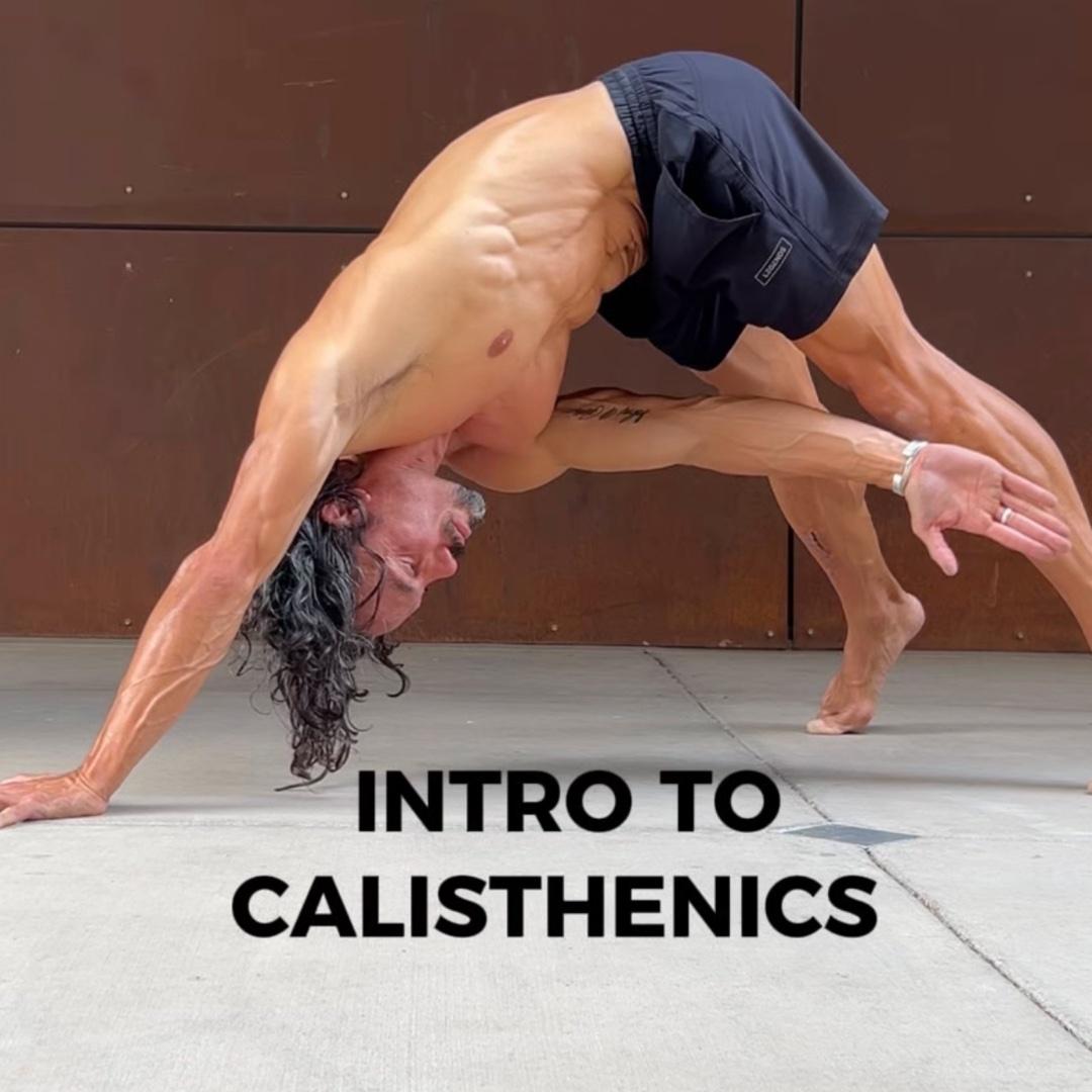 Intro to Calisthenics