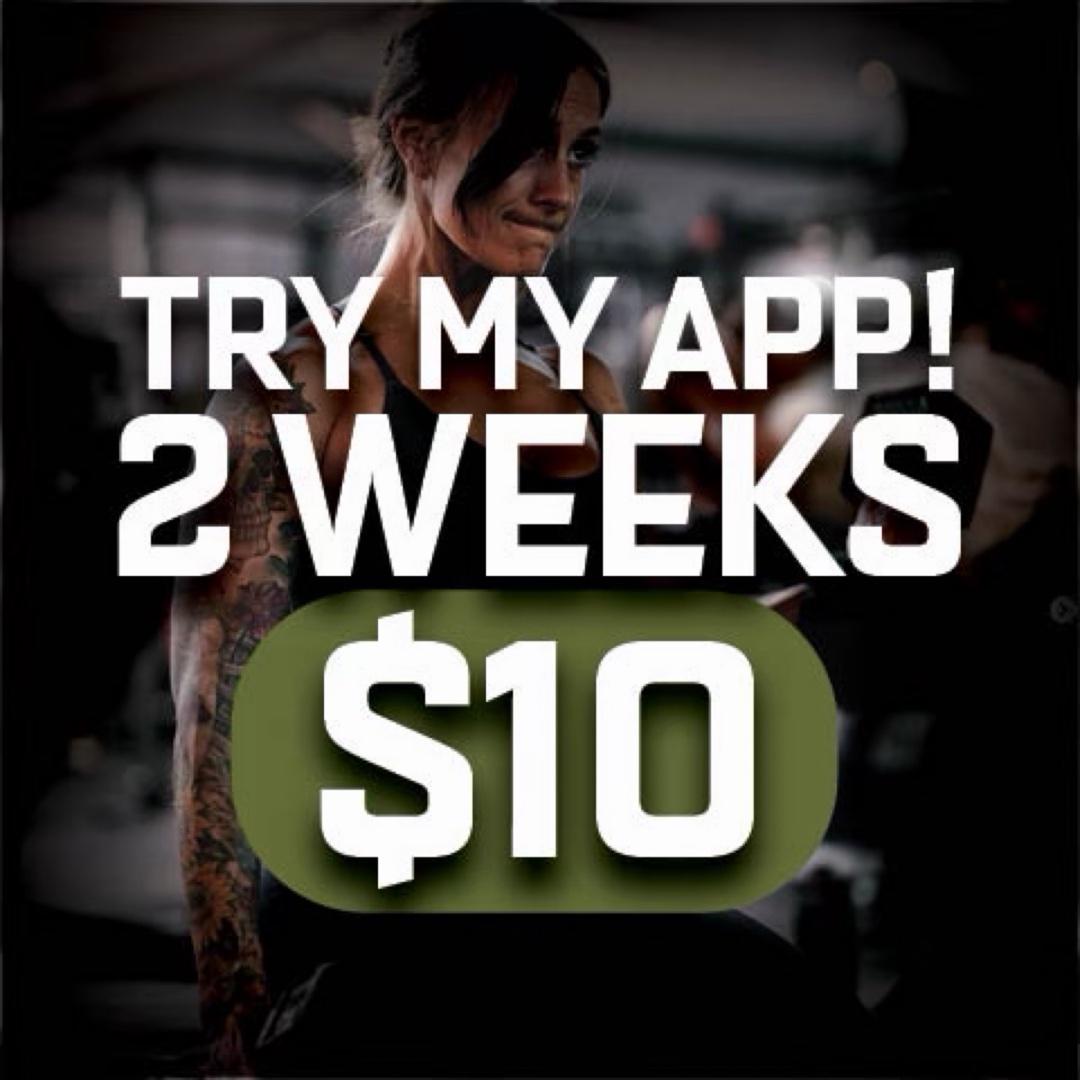 2 Weeks of Training