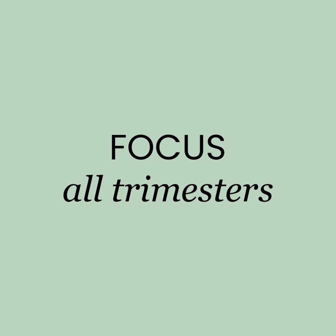 FOCUS: bodyweight pregnancy program