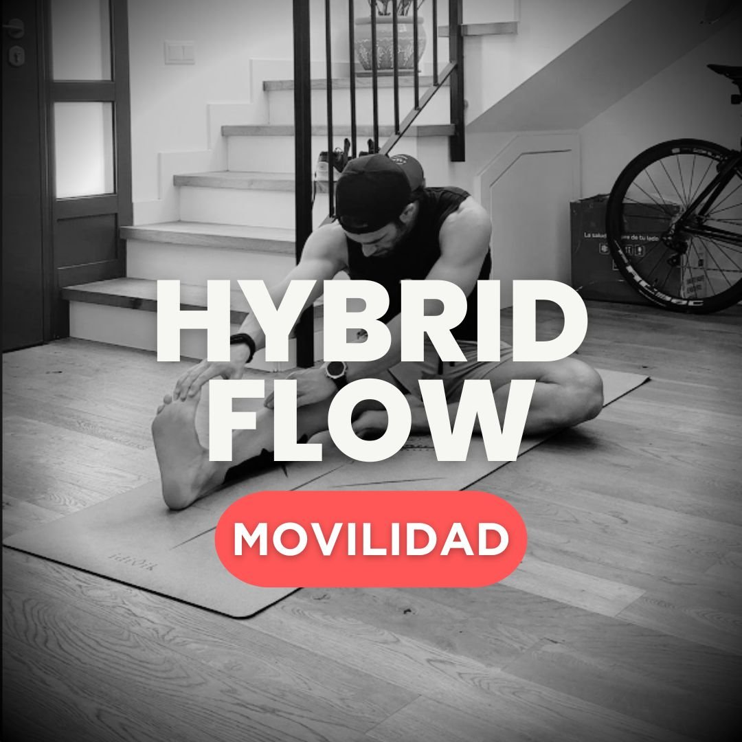 HYBRID FLOW BASE Vol1