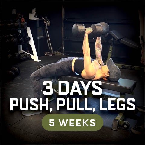 3 Day Push, Pull, Legs