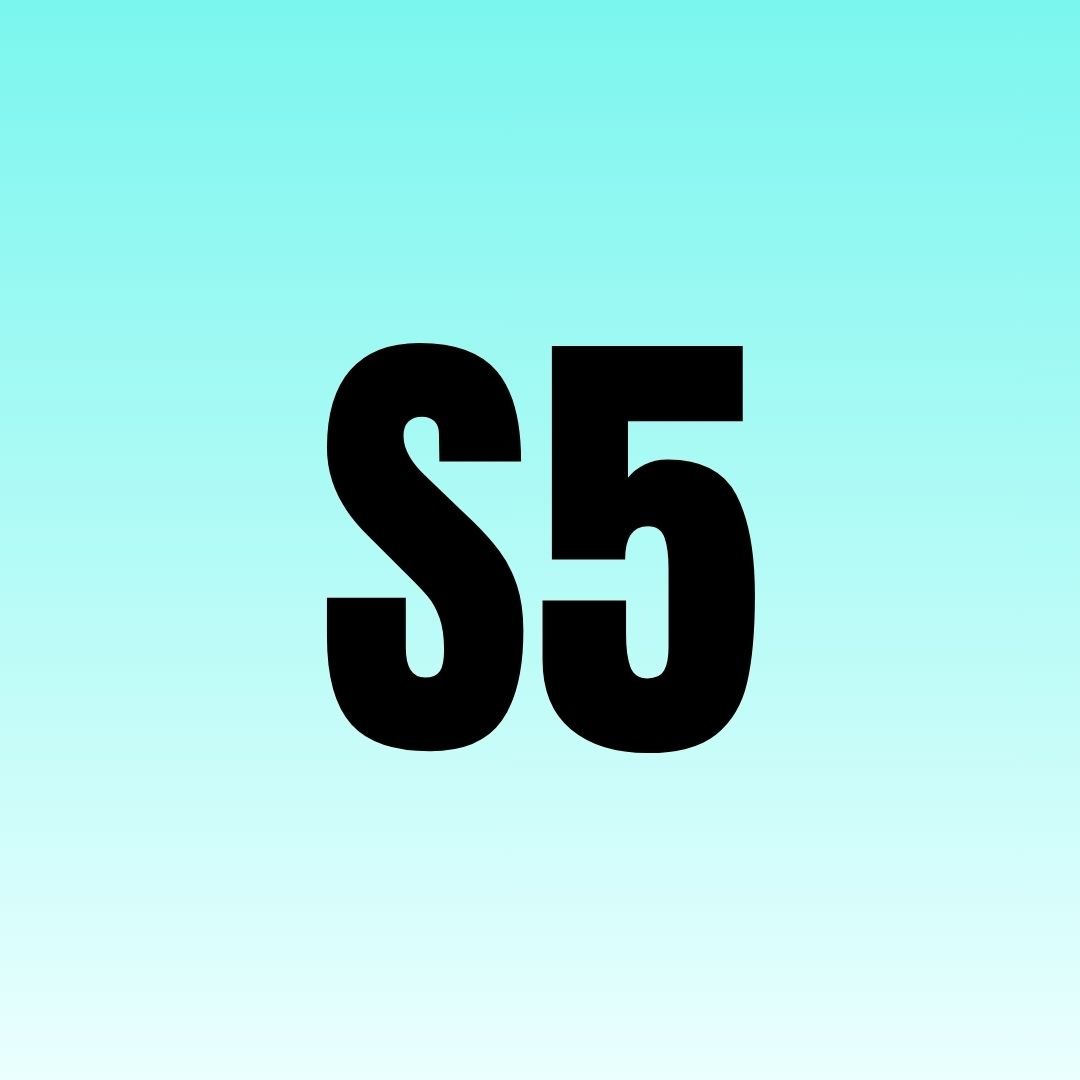 What is S5 - SoulSTRONG System?