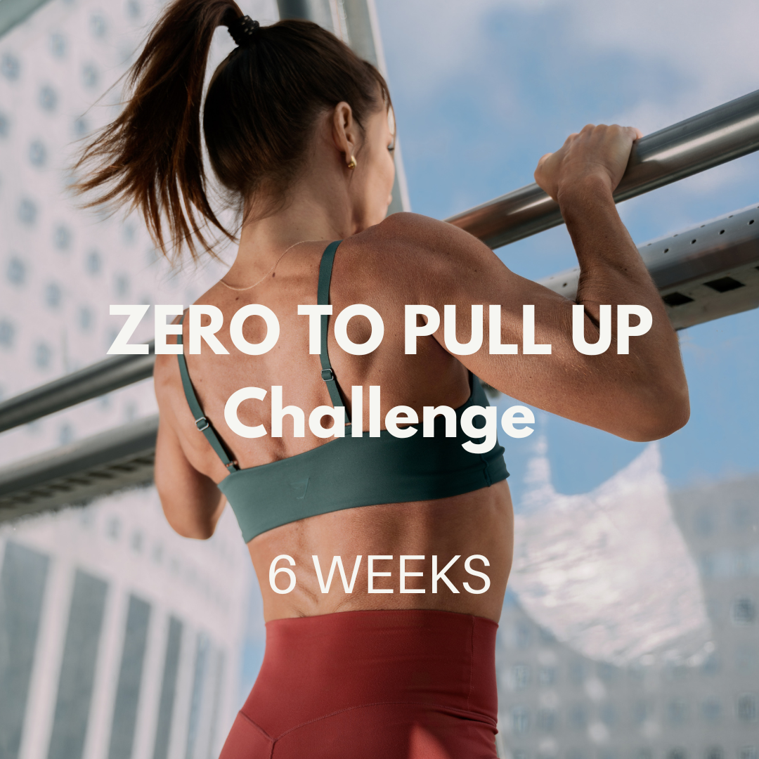 ZERO to PULL UP Challenge