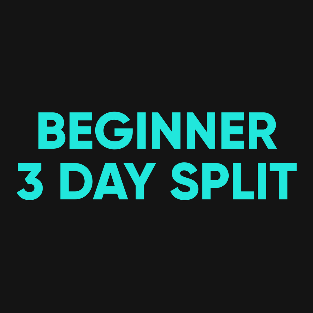 Beginner - 3 Day Split
