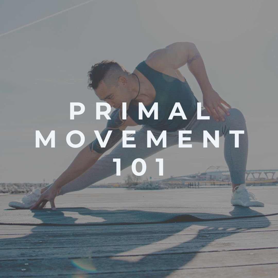 Primal Movement 101 by Kellen Milad
