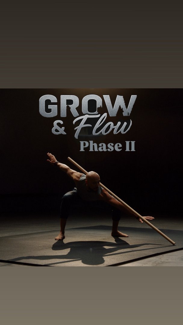 Grow&Flow - Phase II